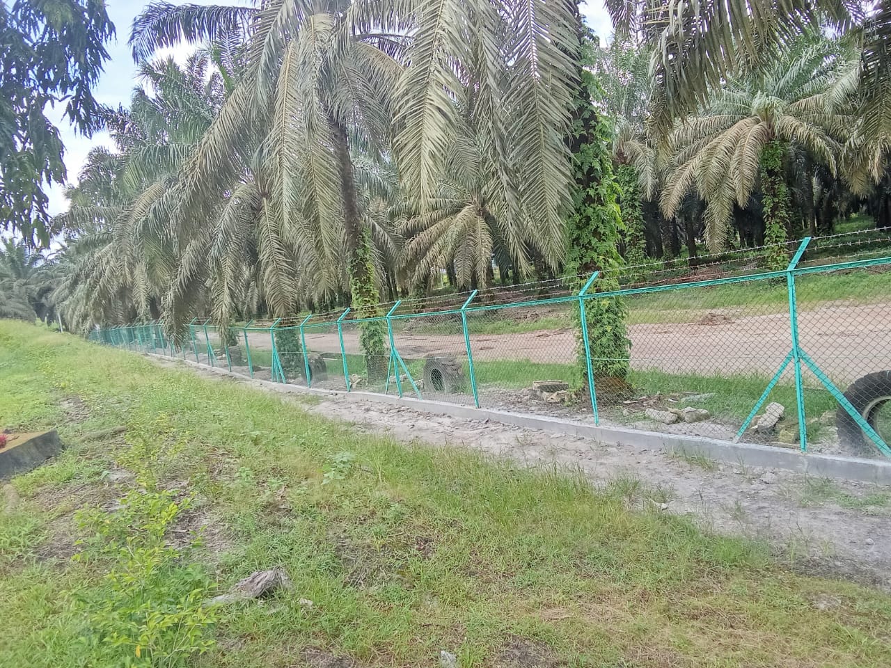 0035dde6-db06-4b43-a695-f6449a3daa4c