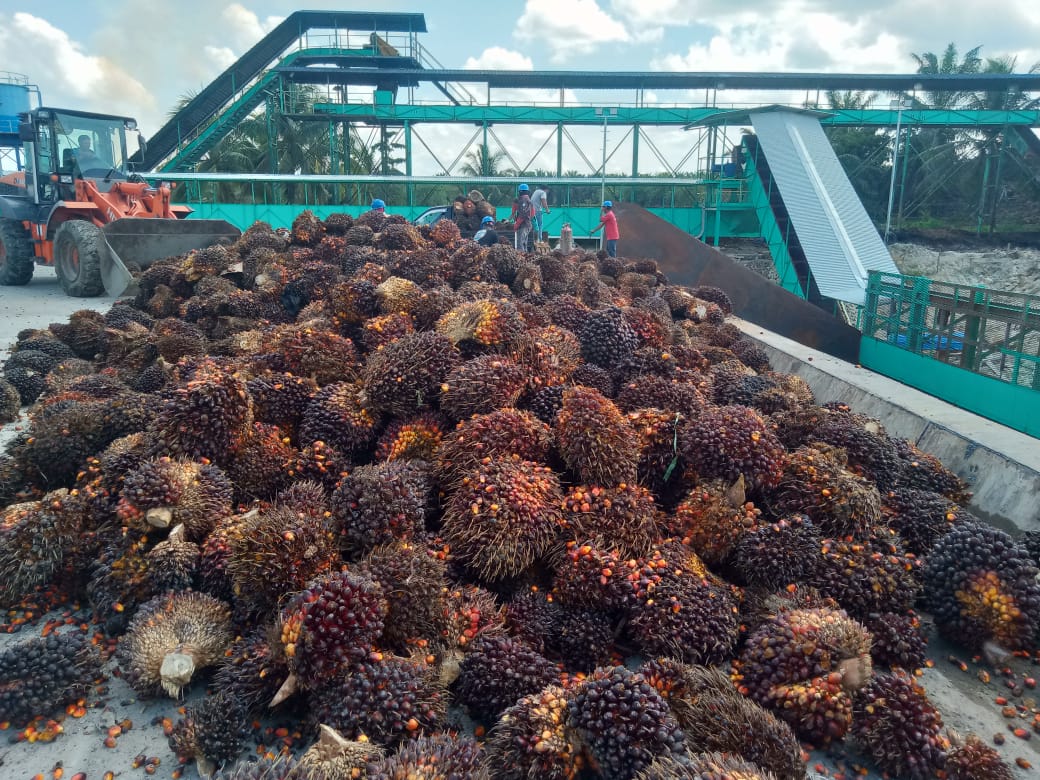 85f51456-2475-4041-b10d-226d4662da37