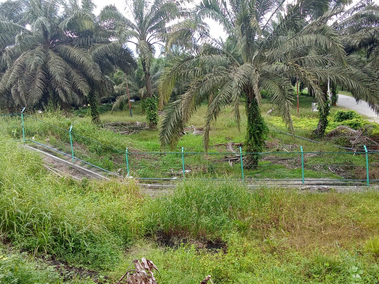 a09facb5-f890-4f19-ad44-97691155c19e