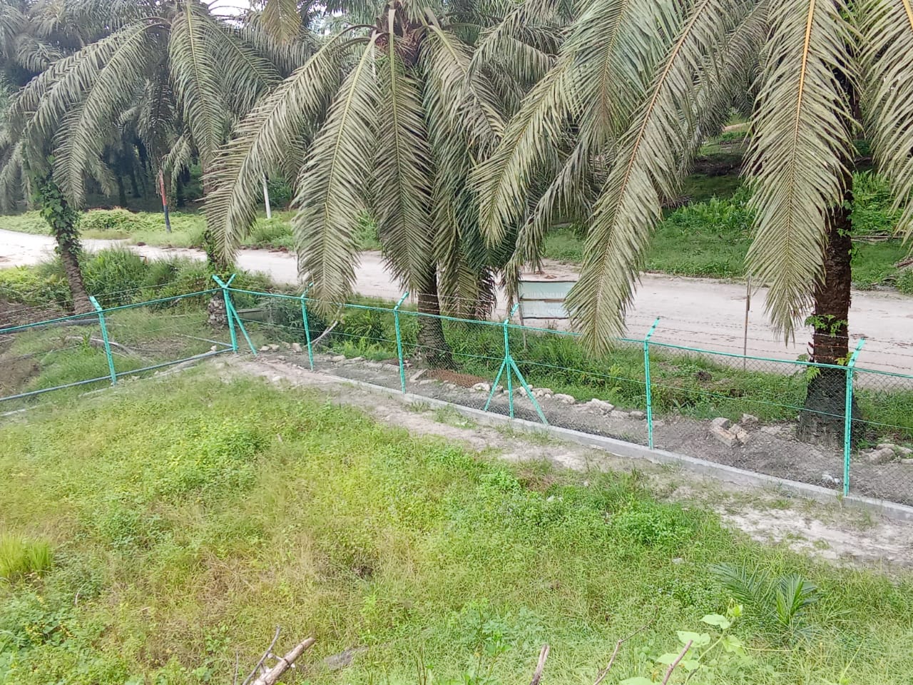 a78caf16-250e-4c59-b2ac-124143c64745